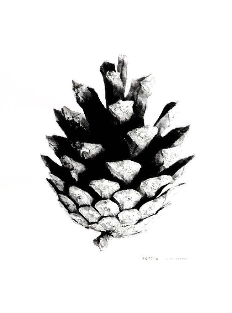Kotten - S – screen print