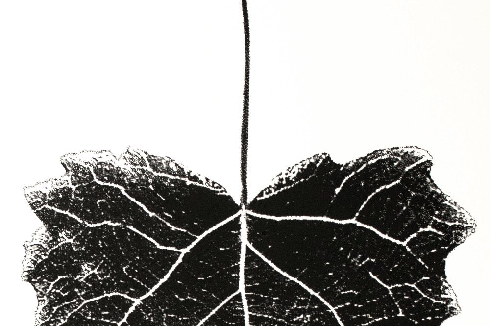 Lööv -  S – screen print