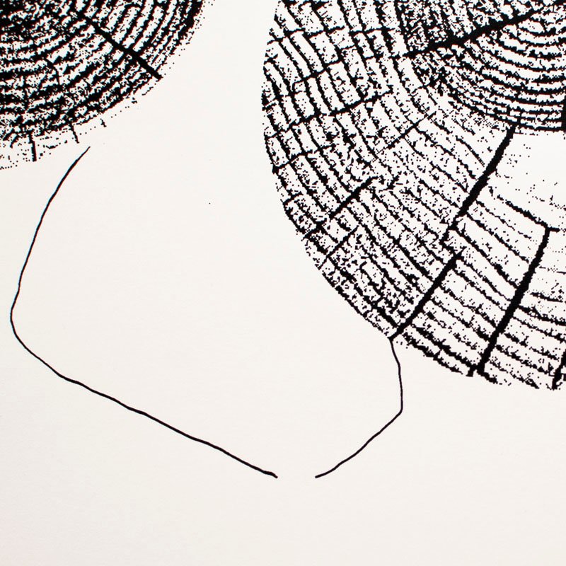 Sisaret – poster