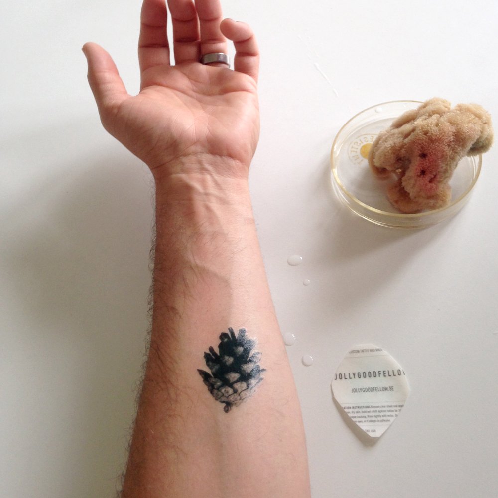 Kotten tattoo on arm.