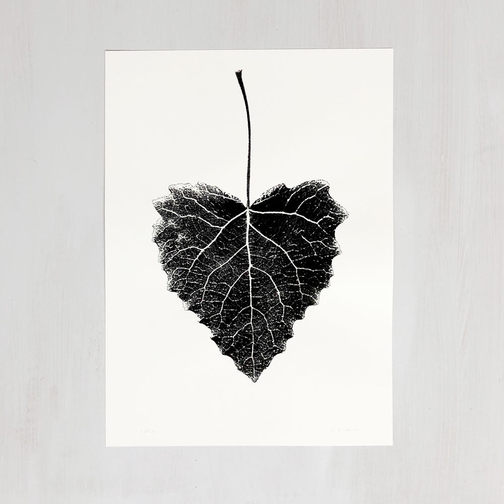 Lööv -  S – screen print