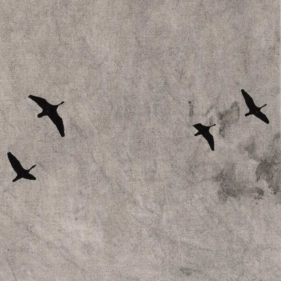 On the Fly – III