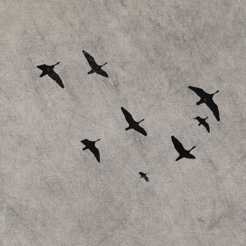 On the Fly – V