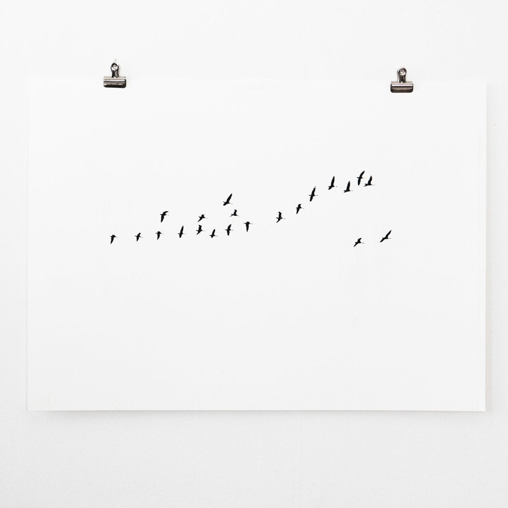 Birds Migration – screen print