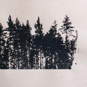 Detail of pines on brown paper.