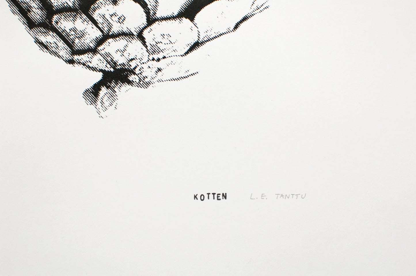 Kotten – M – screen print