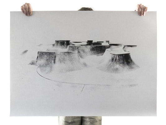 The Hills Are Alive With The Sound Of Skateboards - screen print