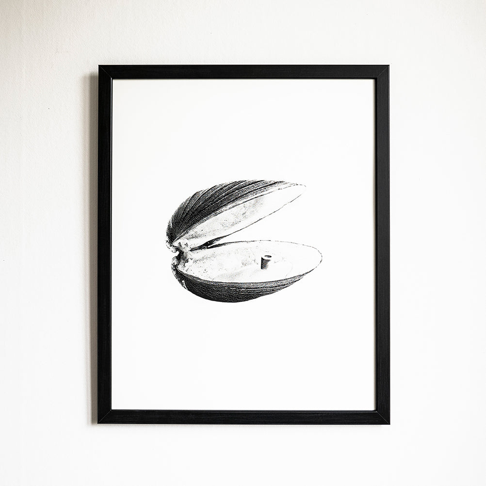 Pearl – screen print